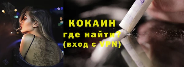 дживик Абинск