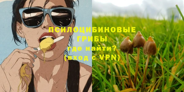 скорость Алзамай