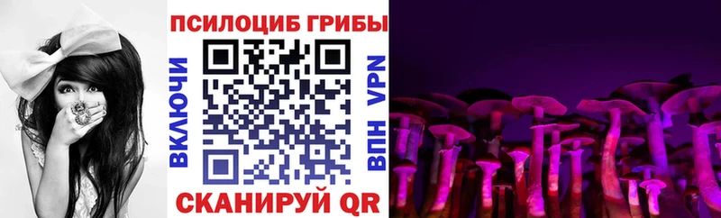 Псилоцибиновые грибы GOLDEN TEACHER  сколько стоит  Бирюсинск 